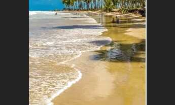 Imagem 3: Chegou o que Estava Faltando Em Tamandaré Pé na Areia!