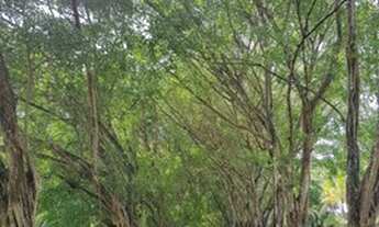 Imagem 3: Reserva dos lagos - Fazenda Boa Luz