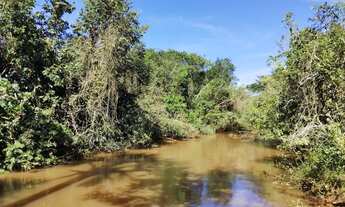 Imagem 2: Sítio 4,0 alqueires com muita água, Monte Alegre de Minas MG
