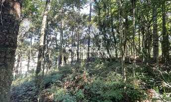 Imagem 3: TERRENO EM GRAMADO