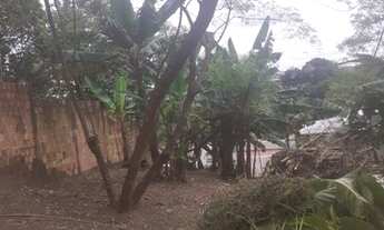 Imagem 3: Cidade Nova, São 03 Terrenos, 85 Mil, 110 Mil e 60 Mil