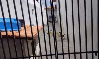 Imagem 6: Casa bairro Ibirapuera