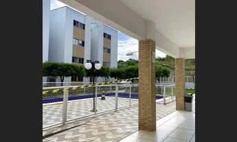 Imagem 3: Solaris Celeste II