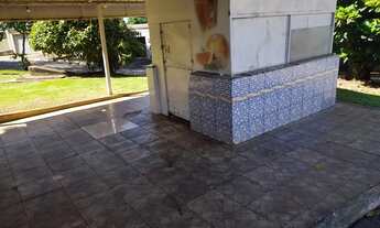 Imagem: Pit Dog montado na linha de ônibus Estudo