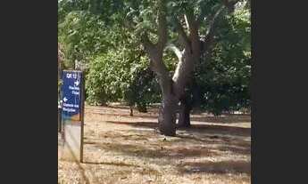 Imagem: LOTE ALDEIA DO VALE Lote à Venda, 0.01