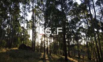 Imagem 4: Terreno para venda em Sousas