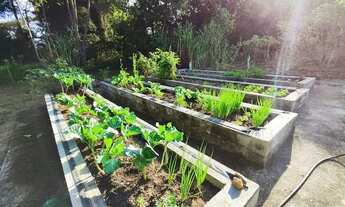 Imagem 4: Sítio dos Sonhos à Venda - 2,7HA de Pura Beleza Natural! ?