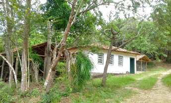 Imagem: Excelente sítio, 10 hectares, com casa