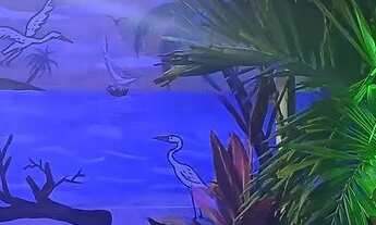 Imagem 3: Pousada ilha bella