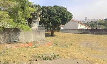 Imagem 5: Terreno no Bairro Paulicéia em São Bernardo do Campo