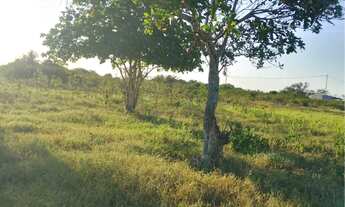 Imagem 6: Terreno em retiro coração de Maria , leia a descrição