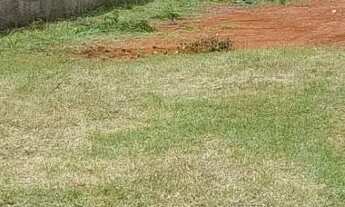 Imagem: Lote ponte Alta-Norte