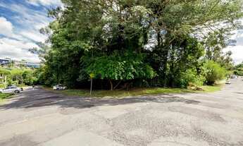 Imagem 4: Raridade de terreno ZR2 com bosque ao lado do Parque São Lourenço!