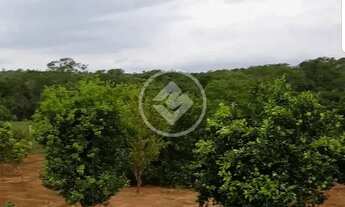 Imagem 4: REF: OFFICE2240 - Chácara com 3 Hectares em Cristinópolis, Goiás. codigo: 49239