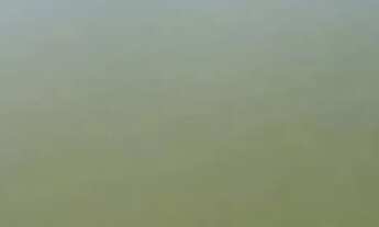 Imagem 5: Chácara a venda em Heitorai - Goiás!!!