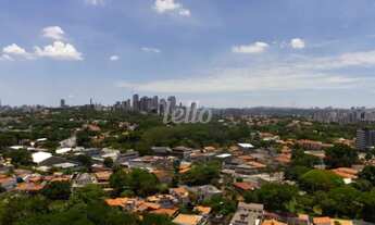 Imagem 7: Apartamento 2 quartos para alugar no(a) Vila Anastacio