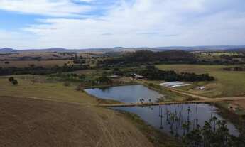 Imagem: Fazenda 67 alqueires - Lavoura!