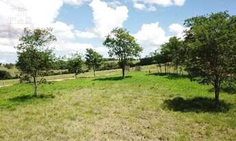 Imagem 6: Sítio à venda, 20.000m² por R$ 680.000 - Cruzeiro dos Peixotos - Uberlândia/MG