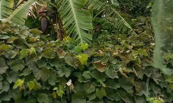 Imagem 4: Ágio/ casa Casa com 3 dormitórios