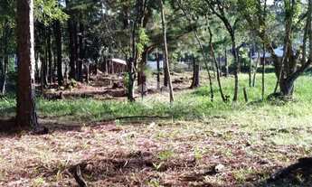 Imagem 5: Terreno com 813m² em Nova Petrópolis