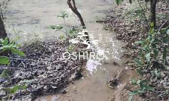 Imagem 4: Vendo 5 Alqueires, sendo 24.2 Hectares Eem ARAGUAPAZ - GO - CÓD. 14002