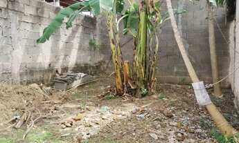 Imagem 4: Terreno para alugar em São Paulo, Vila São Luís(Zona Oeste