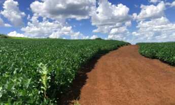 Imagem 2: Fazenda extra a venda no Goiás!!