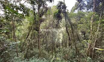 Imagem 7: Ampla Área de Terreno à Venda na Região do Parque da Água Santa - Campos do Jordão/SP