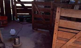 Imagem 7: CHACARA GUAPÓ-GO