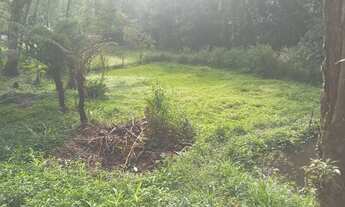 Imagem 4: Chacara apenad 2,5 do asfalto 150 mil rrais