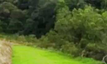 Imagem 7: Lotes para casa de campo no interior paulista