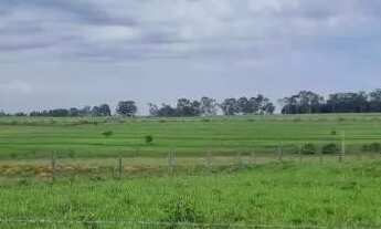 Imagem 2: 60 alqueires em Monte Aprazível/SP EXCELENTE LOCALIZAÇÃO: 8 km do asfalto