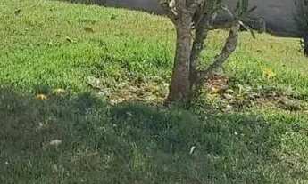 Imagem 7: Casa com terreno de 700 m2 em Jardim Morada Alta - Jarinu