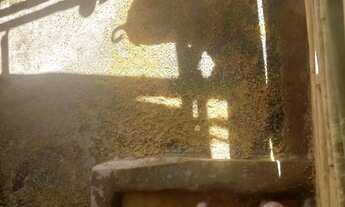 Imagem 5: Linda Fazendinha 15 Hec, Cultura, Lagoa, Pomar Variado, Distrito São Gonçalo do Bação, Ita