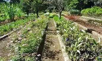 Imagem 6: Terreno à venda, 470 m² por R$ 1.801.000,00 - Jardim São Caetano - São Caetano do Sul/SP