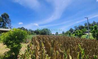 Imagem 13: Chácara Apanhador Caxias do Sul