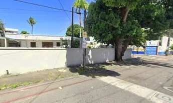 Imagem 5: Imóvel comercial com 10 salas - Dionisio Torres - 400m²