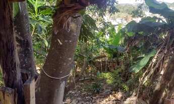 Imagem 5: Casa em Leopoldina, mg