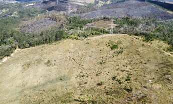 Imagem 7: Terrenos em Terra Preta Qualidade de Vida e Ótima Localização