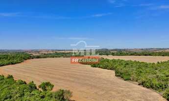 Imagem: Fazenda 17,5 alqueires (84,75 hectares)