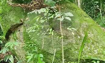 Imagem 6: Terreno à venda em Caraguatá - SP
