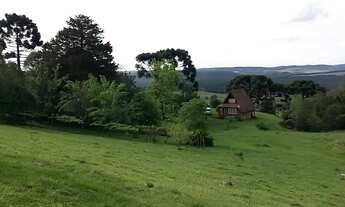 Imagem 5: Sítio em Rua Estrada Velha - Salto Eletra - São Francisco de Paula/RS