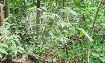 Imagem 3: Terreno à venda em Caraguatá - SP