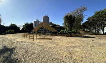 Imagem 7: Sitio com granjas, área com 5,5 alqueires na região de Tatui/SP