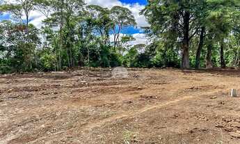 Imagem: Vendas Terreno Almirante Tamandaré PR