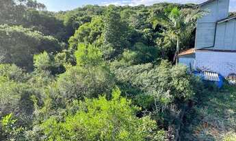 Imagem 2: Terreno no Rio Tavares