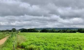 Imagem 5: Excelente propriedade localizada cerca de 45km de Araguaína/To, as margens da rodovia TO22