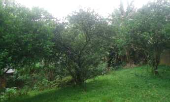 Imagem 4: Blumenau - Terreno Padrão - Garcia