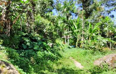 Imagem 3: VENDE-SE UM SITIO NO BAIRRO PENHA PARATY RJ