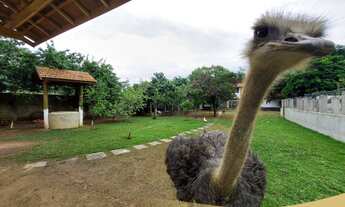 Imagem 6: Chacara residencial para Venda Lago Azul, Pindamonhangaba 2 dormitórios sendo 1 suíte, 3 s